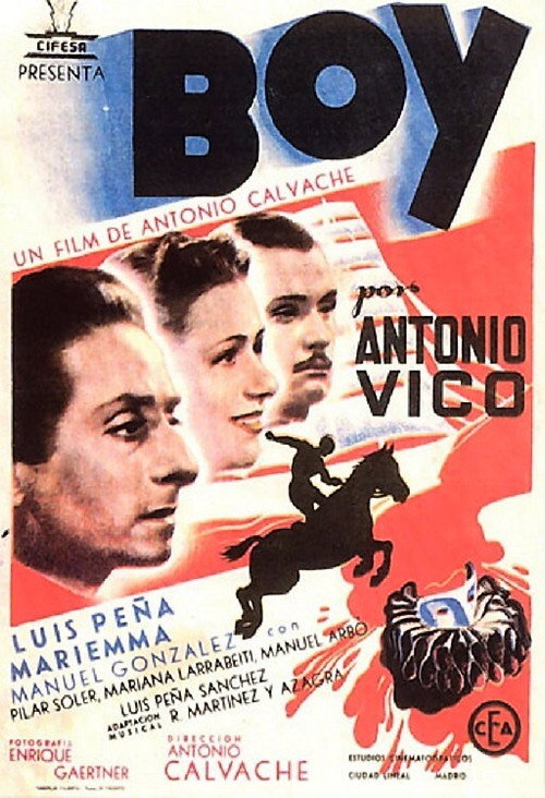 Boy official trailer poster