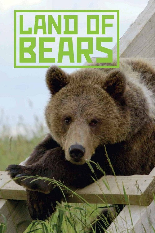 Land of Bears official trailer poster