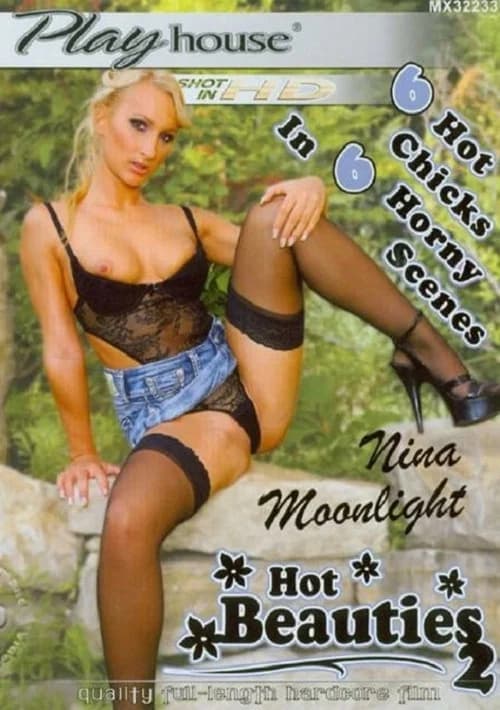 Hot Beauties 2 official trailer poster