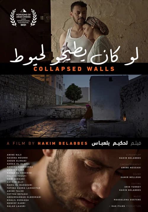 Collapsed Walls official trailer poster