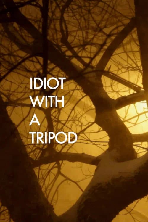 Idiot with a Tripod official trailer poster