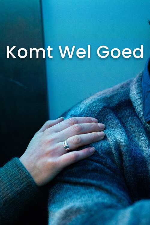 Komt Wel Goed official trailer poster