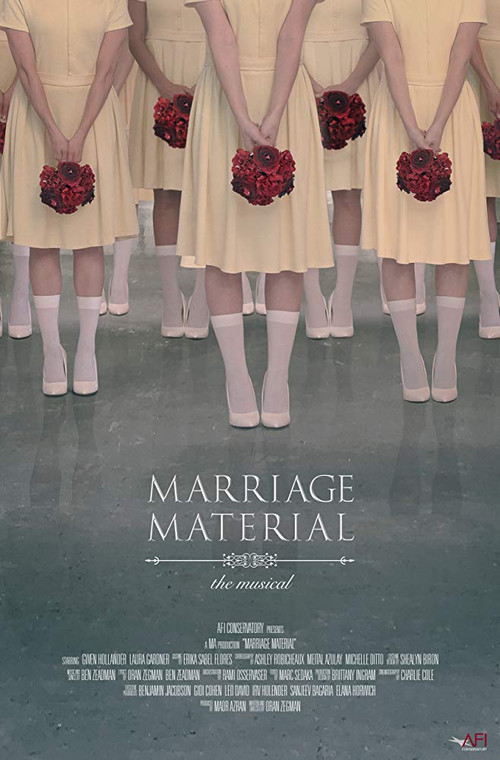 Marriage Material official trailer poster