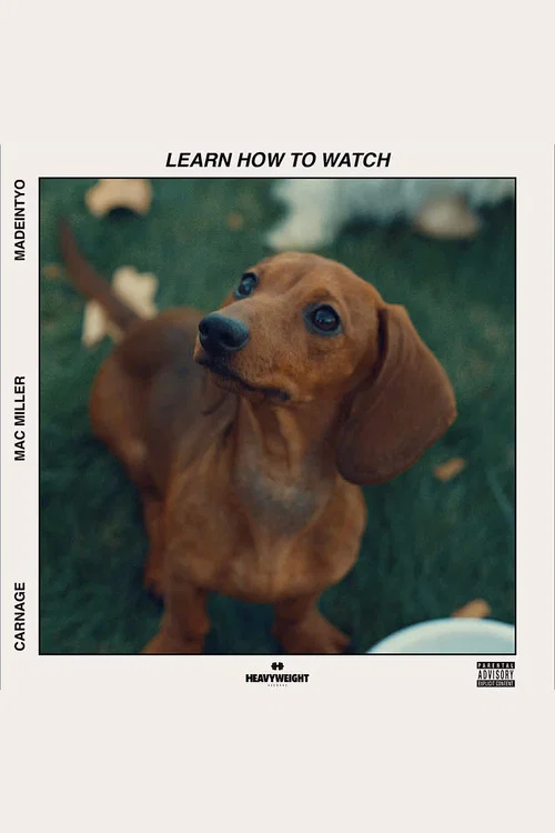 Learn How to Watch official trailer poster