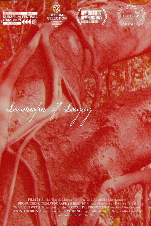 Landscapes of Longing official trailer poster