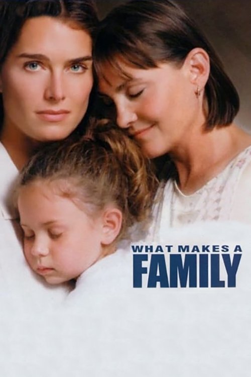 What Makes a Family official trailer poster
