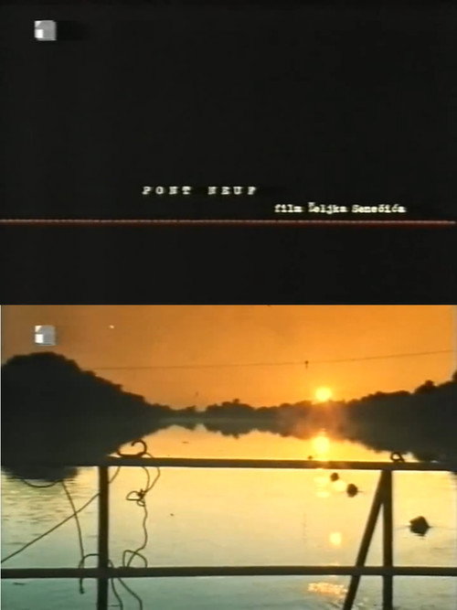 Pont Neuf official trailer poster