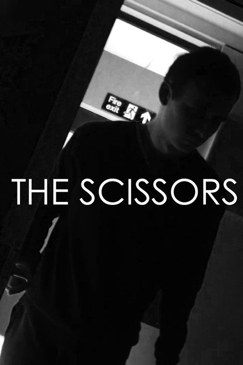 The Scissors official trailer poster