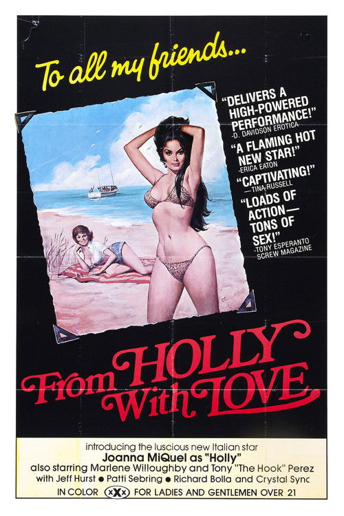 From Holly with Love official trailer poster
