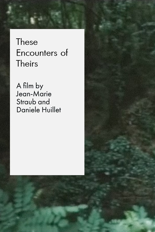 These Encounters of Theirs official trailer poster