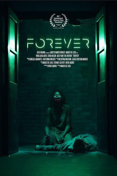 Forever official trailer poster