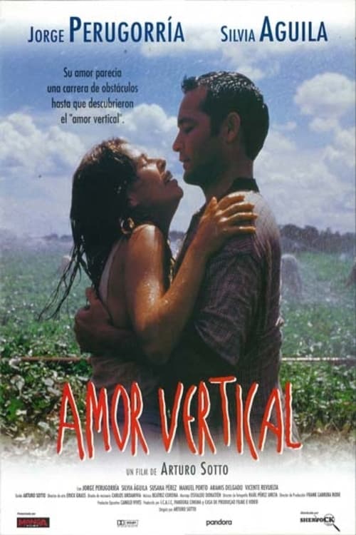 Vertical Love official trailer poster
