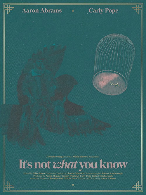 It's Not What You Know official trailer poster