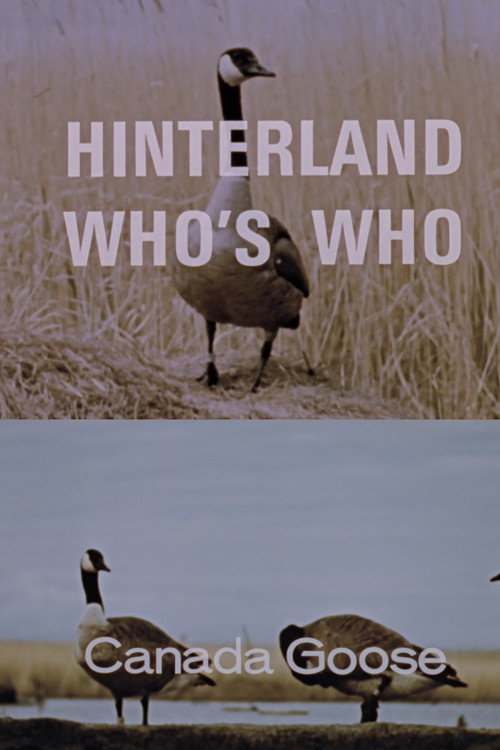 Hinterland Who's Who: Canada Goose official trailer poster
