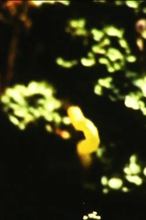 Caterpillar official trailer poster