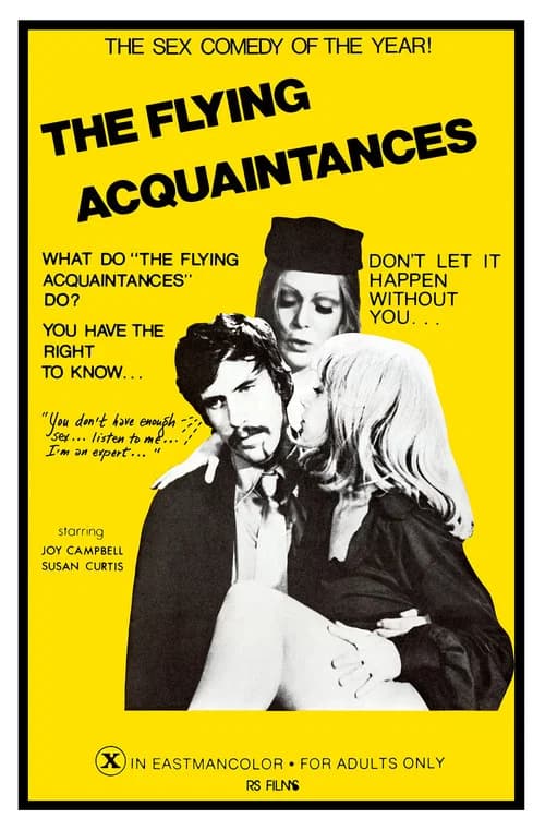 Flying Acquaintances official trailer poster