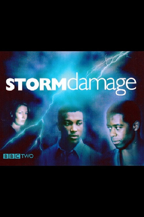 Storm Damage official trailer poster