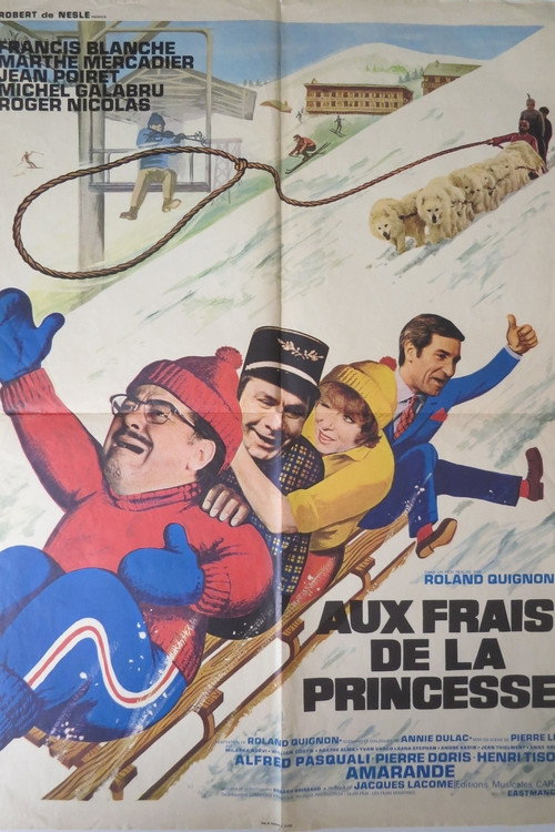 Aux frais de la princesse official trailer poster