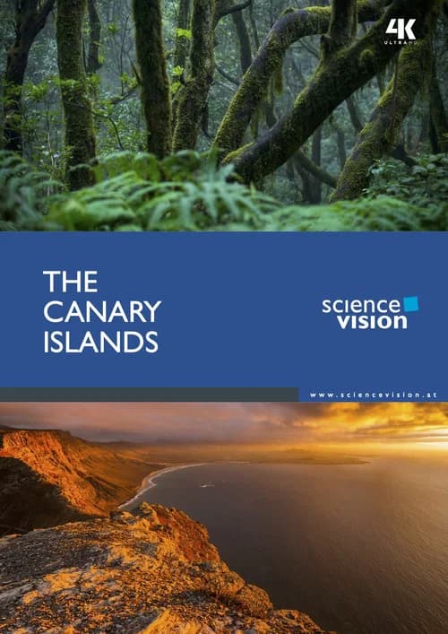 The Canary Islands official trailer poster