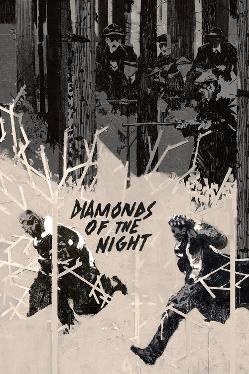 Diamonds of the Night official trailer poster