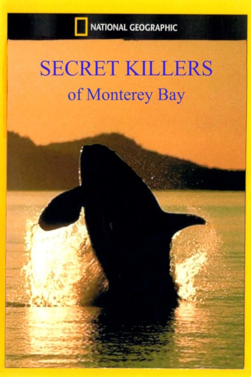 Secret Killers of Monterey Bay official trailer poster