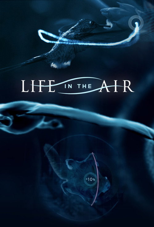 Life in the Air official trailer poster