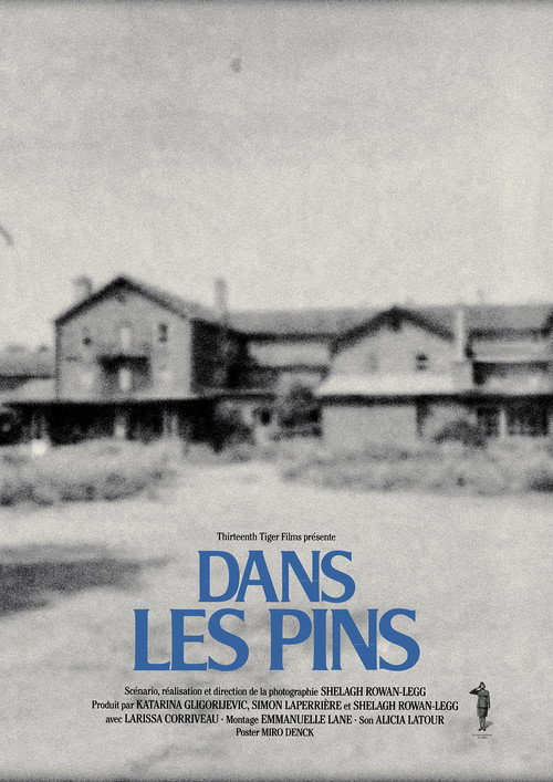Among the Pines official trailer poster