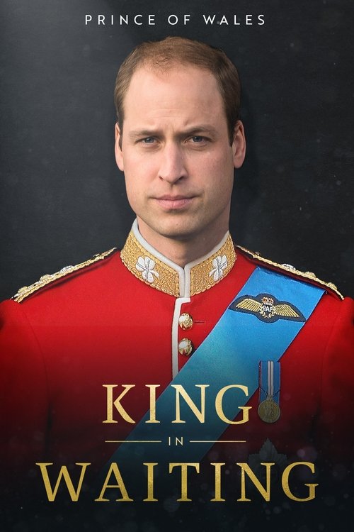 Prince of Wales: King in Waiting official trailer poster