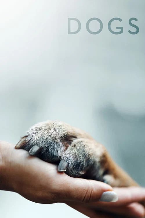 Dogs official trailer poster