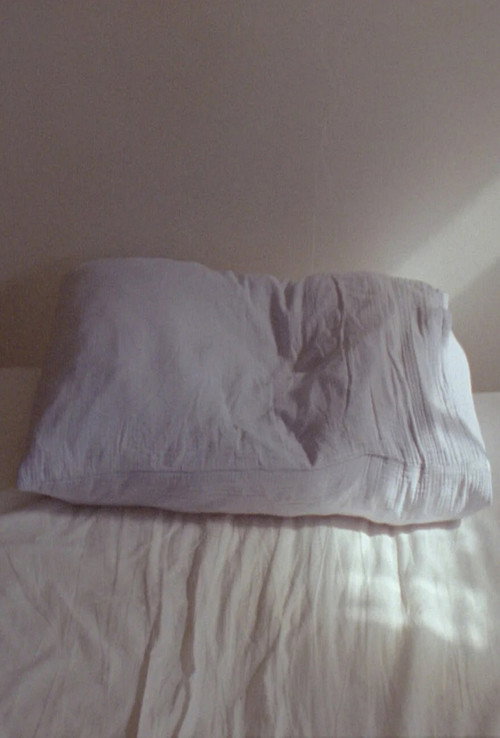 pillow bowl rose tree official trailer poster