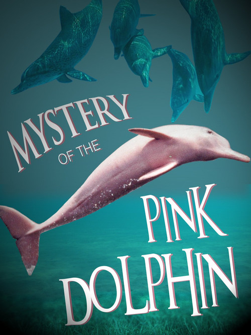 The Mystery of the Pink Dolphin official trailer poster