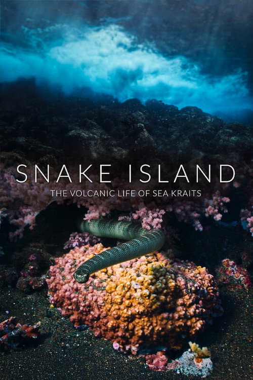 Snake Island: The Volcanic Life of Sea Kraits official trailer poster