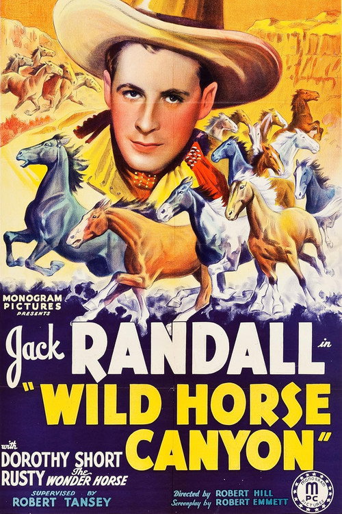 Wild Horse Canyon official trailer poster