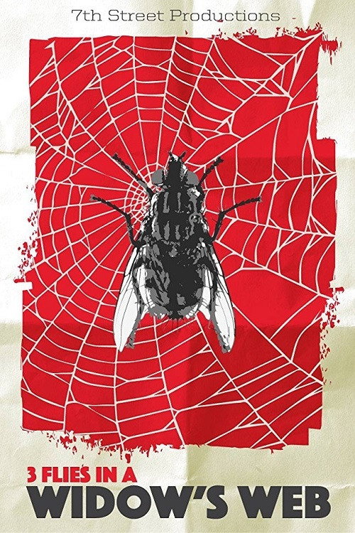 3 Flies in a Widow's Web official trailer poster
