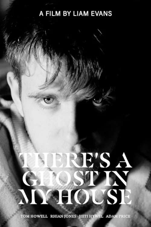 There's A Ghost In My House official trailer poster