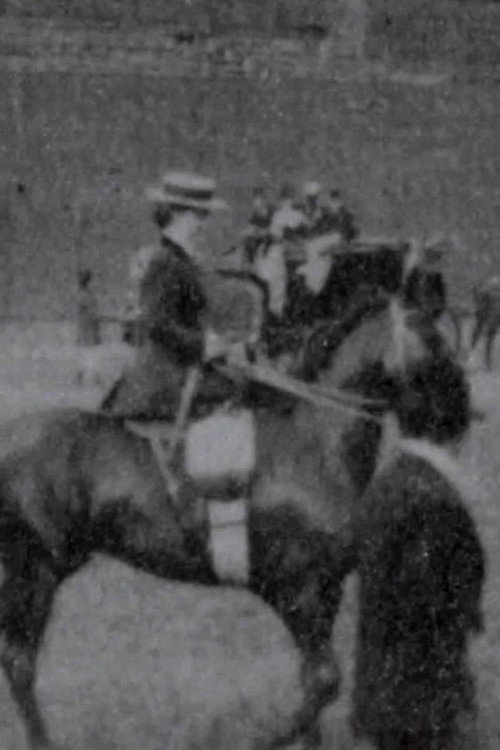 Judging Ladies' Saddle Horses official trailer poster