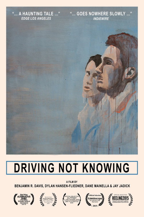 Driving Not Knowing official trailer poster