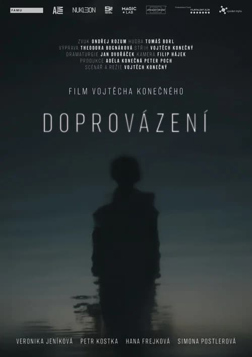 Doprovázení official trailer poster