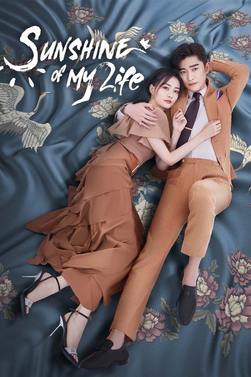 Sunshine of My Life official trailer poster