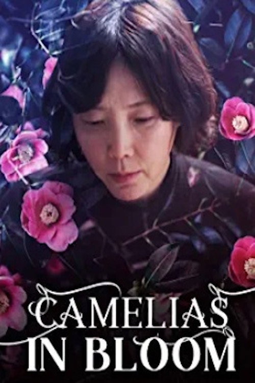Camellias in Bloom official trailer poster