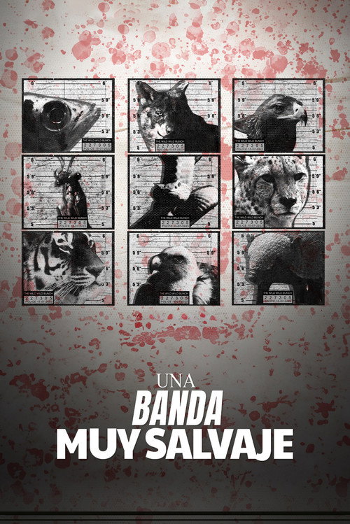 The Wild Wild Bunch official trailer poster