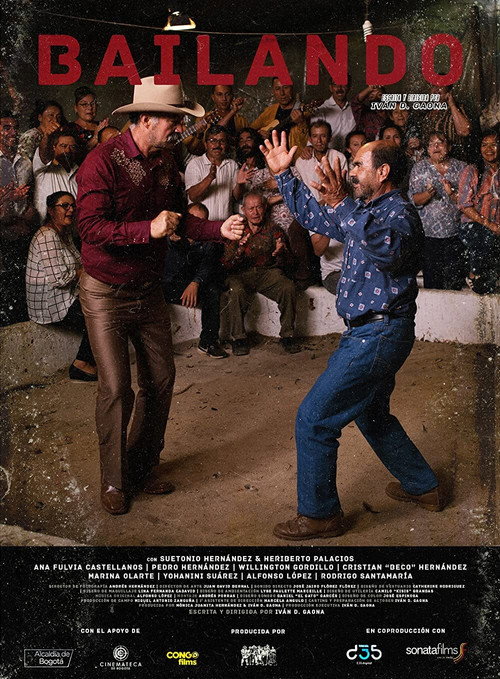Bailando official trailer poster