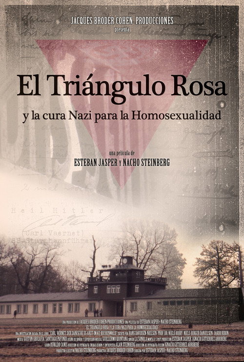 The Pink Triangle and the Nazi Cure for Homosexuality official trailer poster