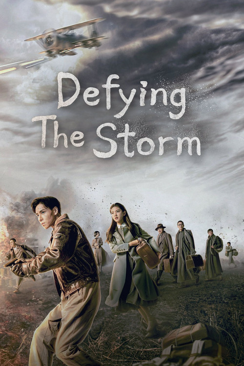 Defying the Storm official trailer poster