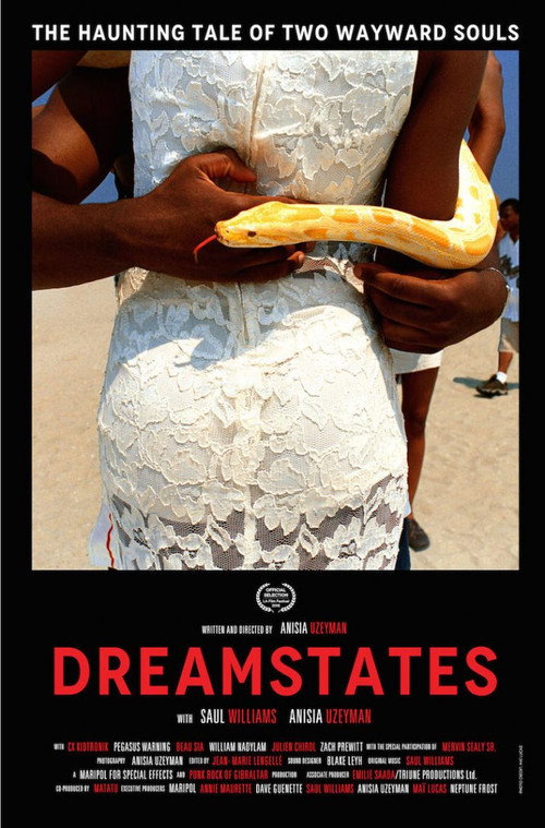 Dreamstates official trailer poster