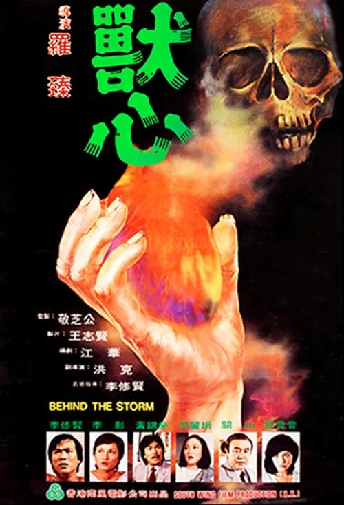 Behind the Storm official trailer poster