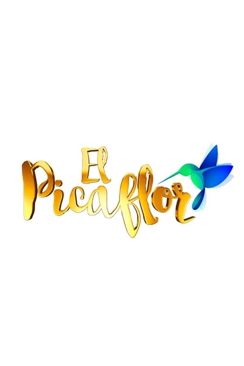 El Picaflor official trailer poster
