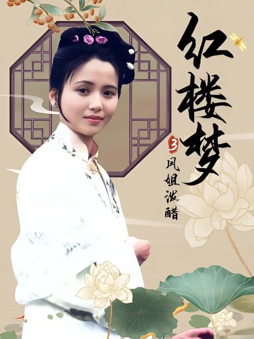 红楼梦第三部:凤姐泼醋 official trailer poster