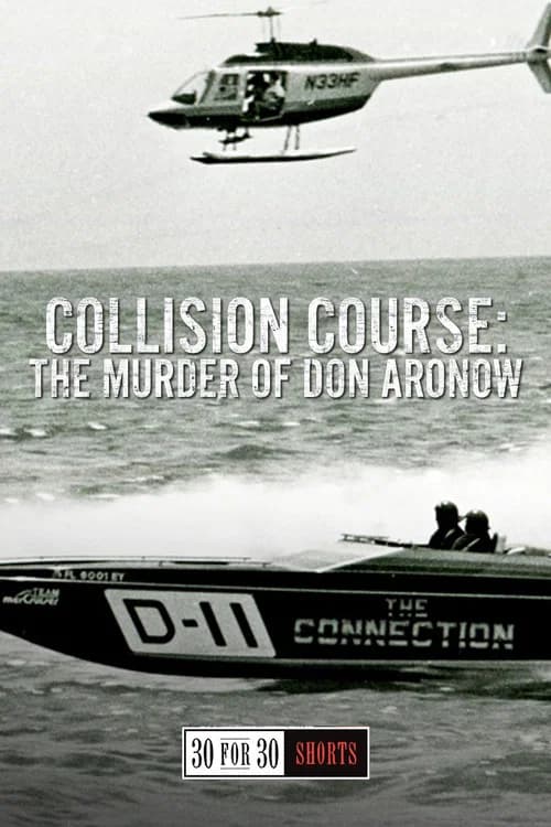 Collision Course: The Murder of Don Aronow official trailer poster