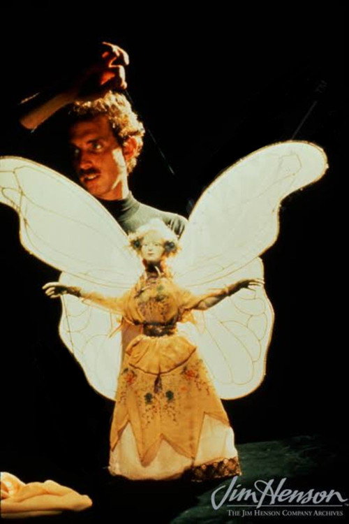 The World Of Puppetry with Bruce Schwartz official trailer poster